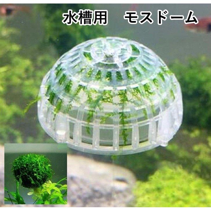 商品説明