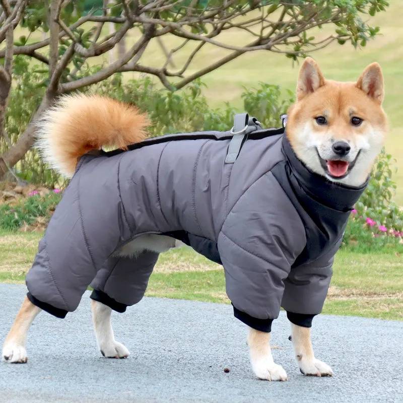 商品説明