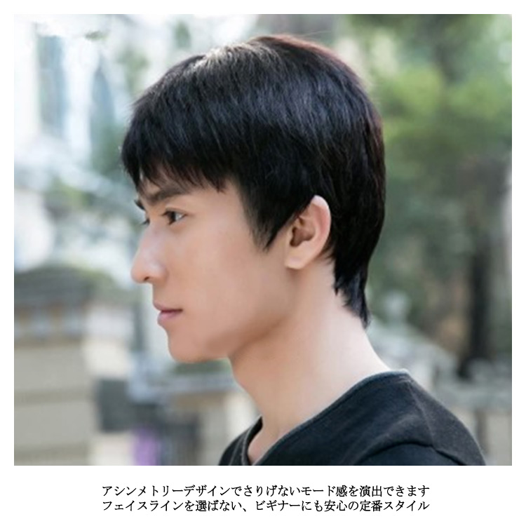 人毛100％! ウイッグ メンズ フルウィッグ 男性 かつら 自然
